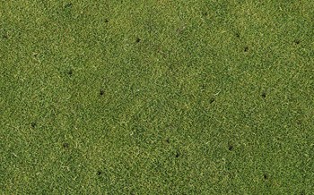 Core Aeration