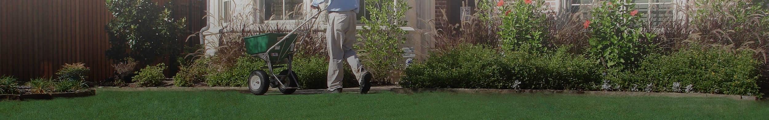 about us: Weedex Lawn Care
