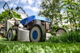 Lawn mower cutting the lawn Mow weekly during summer months