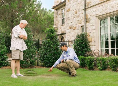 Weedex Customer Consultation on homeowners lawn