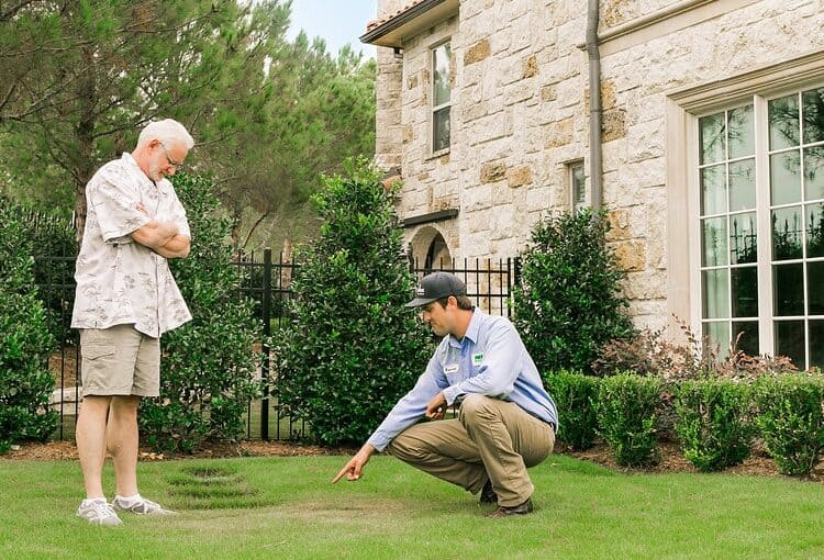 Weedex Customer Consultation on homeowners lawn