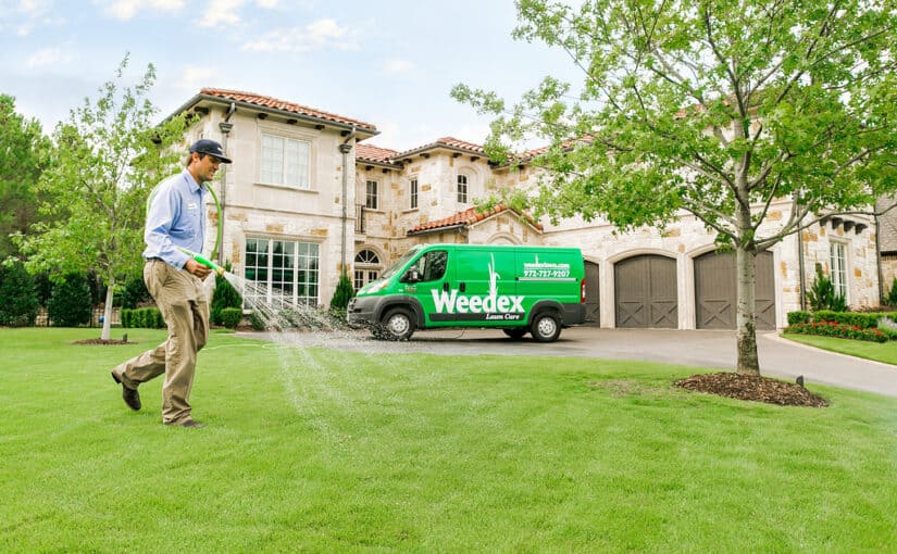 Weedex Lawn Care professional using hose to spray fungicide on lawn in McKinney Texas