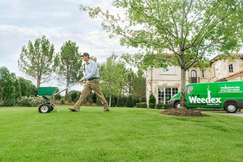 Lawn-Fertilizer-with-Spreader