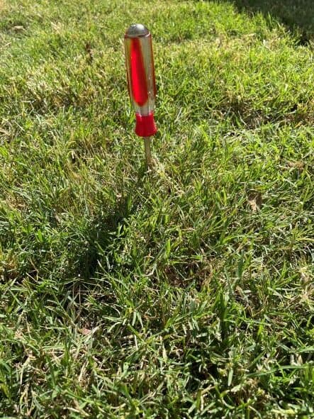 soil compaction test with a screwdriver