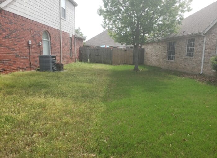 Side by side North Texas lawn comparison