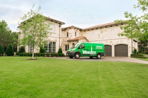 green Weedex van at a customer's home 